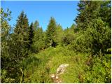 Planina Kosmačeve Rastke - Velika Raduha